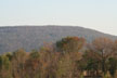 Forest near Monteagle, Tennessee