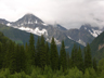 montaine forest, near Banff, Alberta