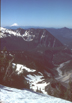 treeline, Mount Ranier, Washington