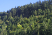 north facing slope along Columbia River, Oregon