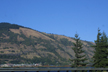 south facing slope along Columbia River, Washington