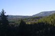 forest, south of Yakima, Washington