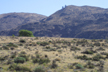 Grassland with sage near Chelan, Washington