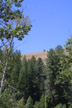 Riparian area, Methow River, Washington