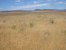 Grasslands, north of Grand Canyon Ntl. Park, AZ