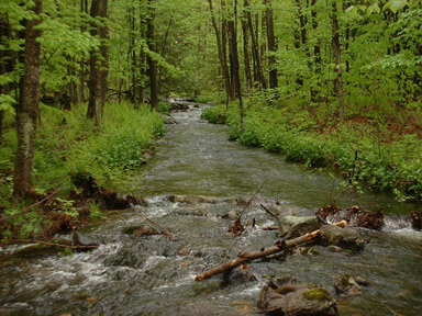 Stream near Ashburnham, Massachusetts