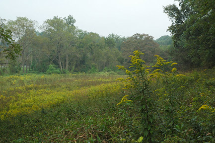 Bucktoe Creek Tract near Kennett Square, PA