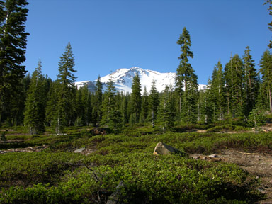 Mt. Shasta, northern California