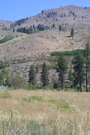 Lower Methow valley, Washington