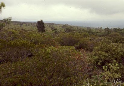 upper slope of Mauna Loa, island of Hawaii