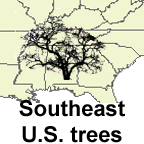 Southeast U.S. tree list