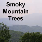 Smoky Mountain tree list