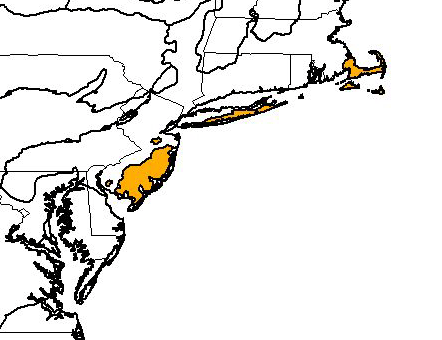 Atlantic coastal pine barrens map