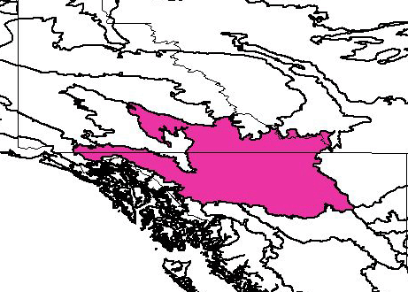 Northern Cordillera forests map