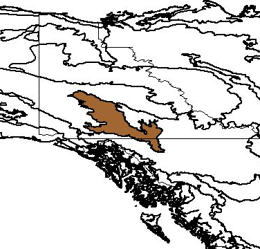 Yukon Interior dry forests map
