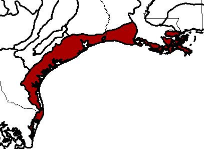 Western Gulf coastal grasslands