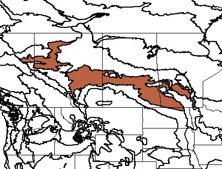 Canadian Aspen forests and parklands map