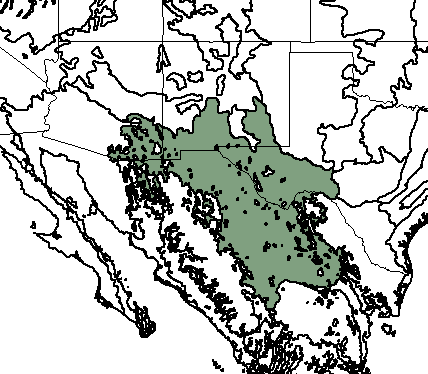 chihuahuan desert map