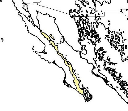 Gulf of California xeric scrub map