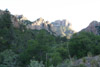 Oak and pine forests in the Chisos Mountains