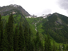 southwestern British Columbia slope forest