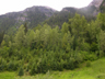 southwestern British Columbia slope forest