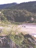 riparian area, Humbolt Co., California