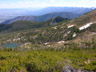 treeline, St. Mary's Peak, Montana