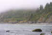 Coastal fog, Redwoods Ntl. Park, California