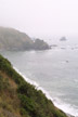 Coast, Redwoods Ntl. Park, California