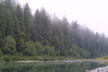 fog along Smith River, Jedediah Smith Redwoods SP, CA