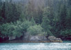 coast, Prince William Sound, near Valdez, Alaska