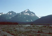 riparian area near Valdez, Alaska
