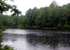 Pond, near Pine Mills, Texas