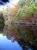 Pond, near Pine Mills, Texas