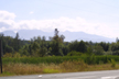 Dry forest, Port Angeles, Olympic Peninsula, Washington