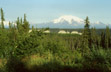 Copper Plateau with Wrangell Mts. in background, southern AK