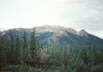 Taiga, central Alaska