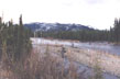 River, taiga, central Alaska