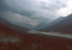 Braided river, northern British Columbia