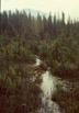 Laird Hot Springs, northern British Columbia