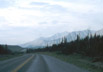 Forest, northern British Columbia