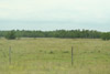 agricultural area west of Beaumont, Texas