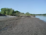 Riparian habitat, Feather River, near Nicolaus, Sutter Co., California