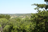 Oak, pine, and juniper vegetation