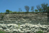 A thin layer of soil covers the limestone bedrock.