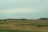 Agricultural grasslands west of Tower City, North Dakota