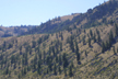 North-facing slope near Chelan, Washington