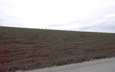 Permafrost features, south of the Brooks Range, Alaska