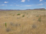 Grasslands, north of Grand Canyon Ntl. Park, AZ